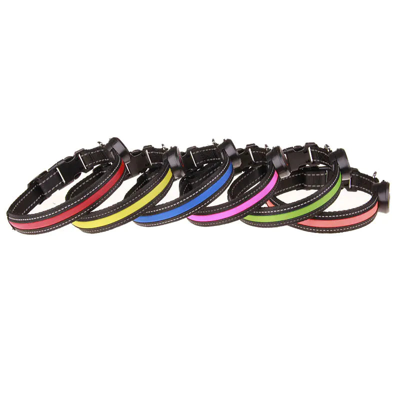 LED light up dog collar