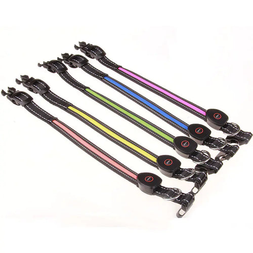 LED light up dog collar
