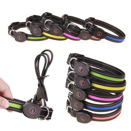 LED light up dog collar