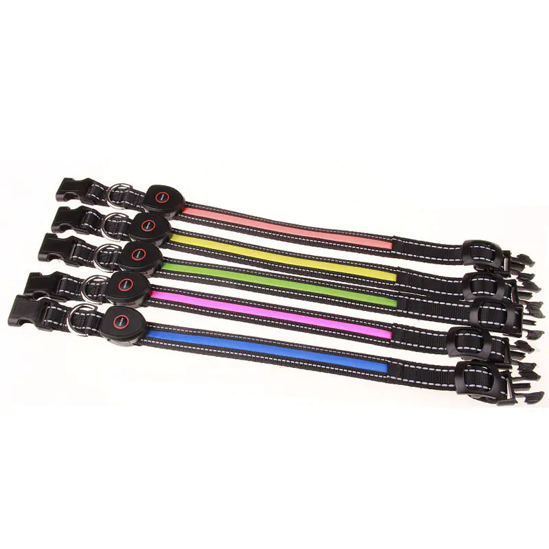 LED light up dog collar